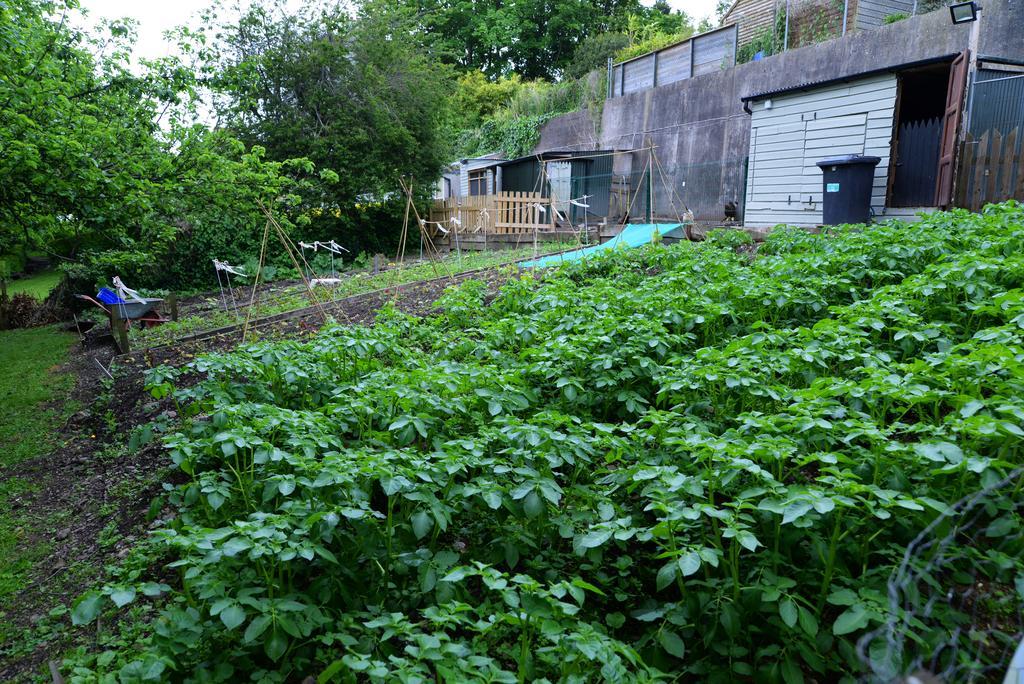 Gabriel House Guesthouse Cork Exterior foto