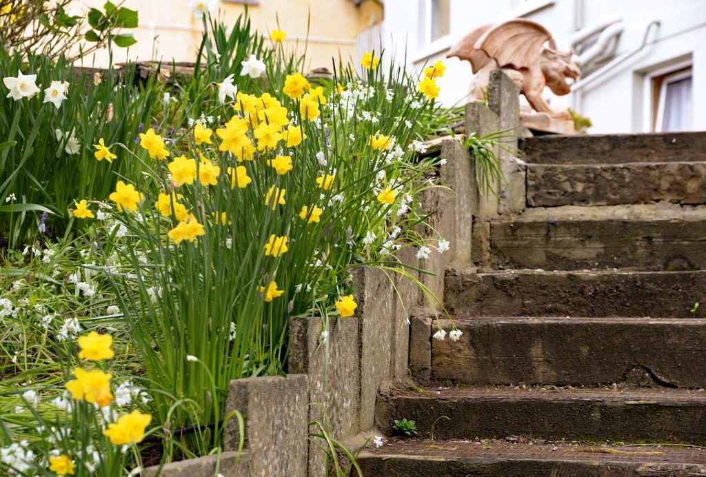 Gabriel House Guesthouse Cork Exterior foto