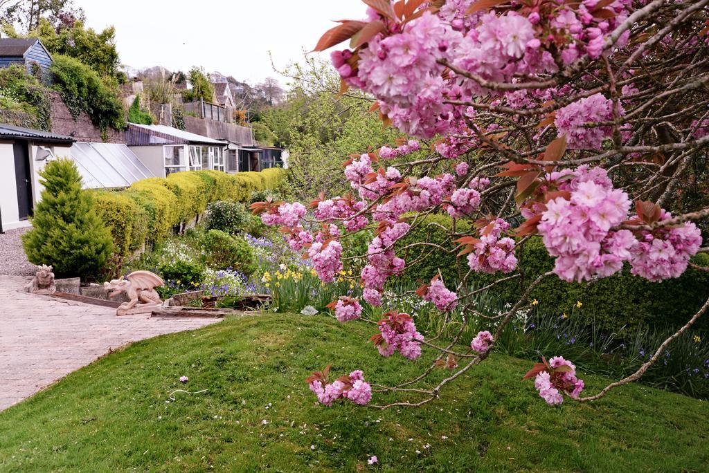 Gabriel House Guesthouse Cork Exterior foto